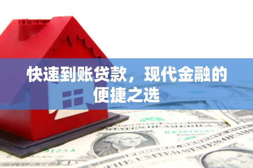 芦淞快速到账贷款，现代金融的便捷之选