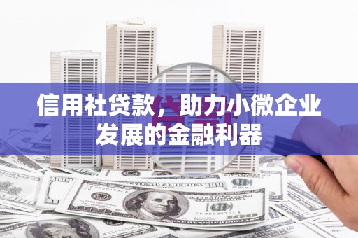 盐湖信用社贷款，助力小微企业发展的金融利器