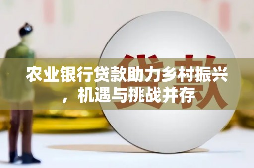 和政农业银行贷款助力乡村振兴，机遇与挑战并存