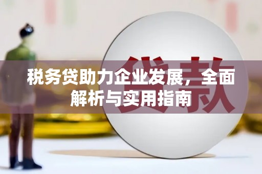 贵德税务贷助力企业发展，全面解析与实用指南