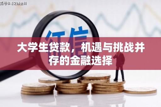 云溪大学生贷款，机遇与挑战并存的金融选择