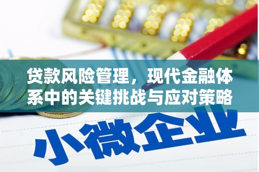 西充贷款风险管理，现代金融体系中的关键挑战与应对策略
