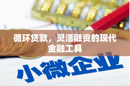 沙湾循环贷款，灵活融资的现代金融工具