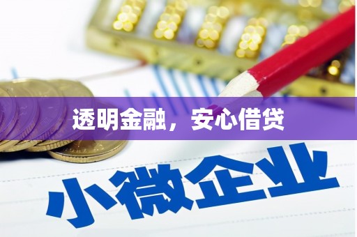 安龙透明金融，安心借贷