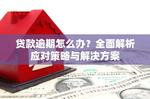 峨边贷款逾期怎么办？全面解析应对策略与解决方案