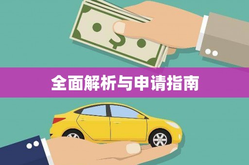 善化全面解析与申请指南