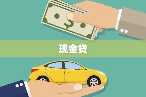 桃城现金贷