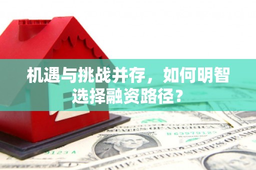 虾峙机遇与挑战并存，如何明智选择融资路径？