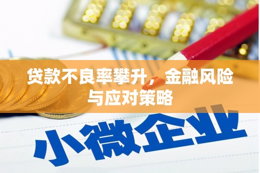 稻城贷款不良率攀升，金融风险与应对策略